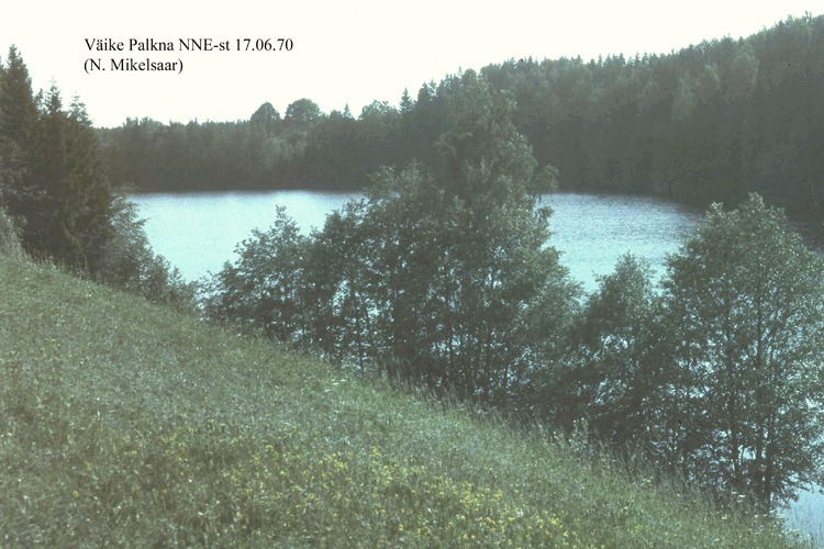 Maakond: Võrumaa Veekogu nimi: Väike Palkna järv Pildistamise aeg: 17. juuni 1970 Pildistaja: N. Mikelsaar Pildistamise koht: NE kaldalt Asimuut: SSW