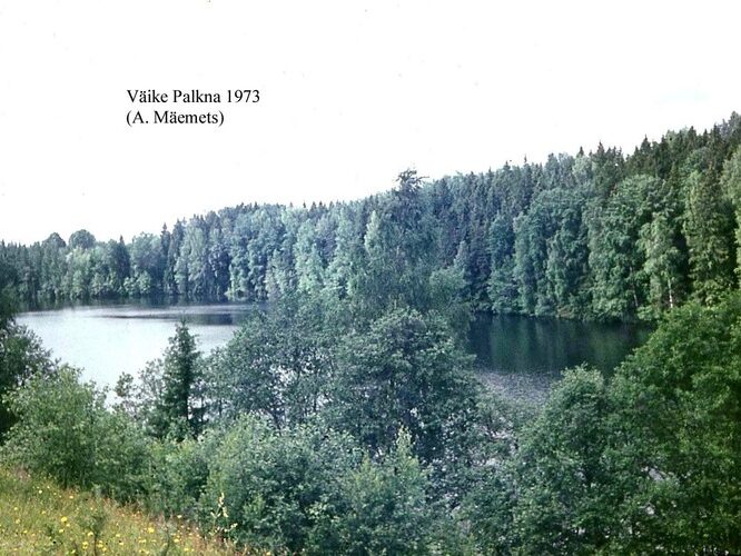 Maakond: Võrumaa Veekogu nimi: Väike Palkna järv Pildistamise aeg: 1973 Pildistaja: A. Mäemets Pildistamise koht: NE kaldalt Asimuut: SW