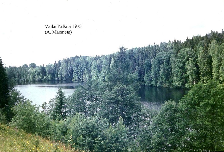 Maakond: Võrumaa Veekogu nimi: Väike Palkna järv Pildistamise aeg: 1973 Pildistaja: A. Mäemets Pildistamise koht: NE kaldalt Asimuut: SW