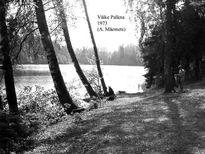 Maakond: Võrumaa Veekogu nimi: Väike Palkna järv Pildistamise aeg: 1973 Pildistaja: A. Mäemets Pildistamise koht: NW kaldalt Asimuut: SE