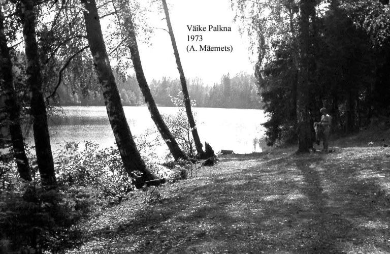 Maakond: Võrumaa Veekogu nimi: Väike Palkna järv Pildistamise aeg: 1973 Pildistaja: A. Mäemets Pildistamise koht: NW kaldalt Asimuut: SE