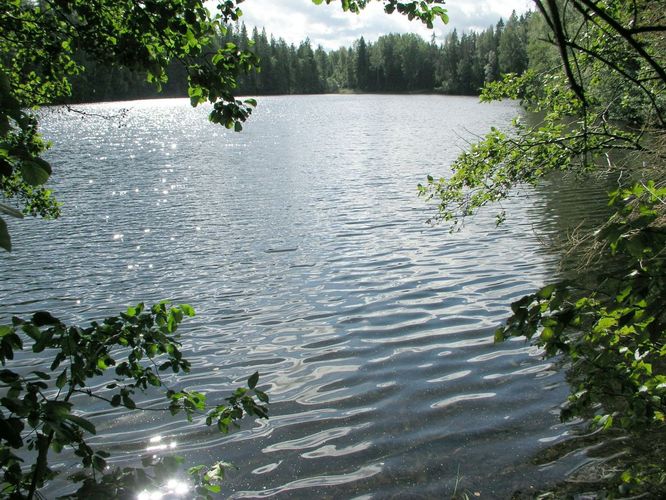 Maakond: Võrumaa Veekogu nimi: Väike Palkna järv Pildistamise aeg: 29. august 2003 Pildistaja: H. Timm Pildistamise koht: teadmata Asimuut: