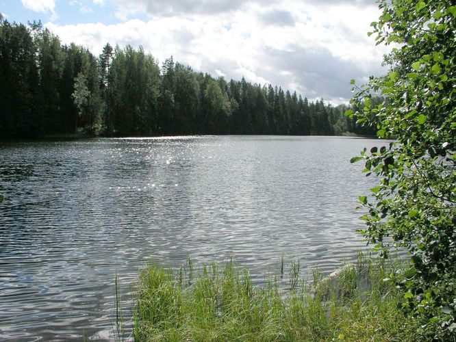 Maakond: Võrumaa Veekogu nimi: Väike Palkna järv Pildistamise aeg: 29. august 2003 Pildistaja: H. Timm Pildistamise koht: teadmata Asimuut: