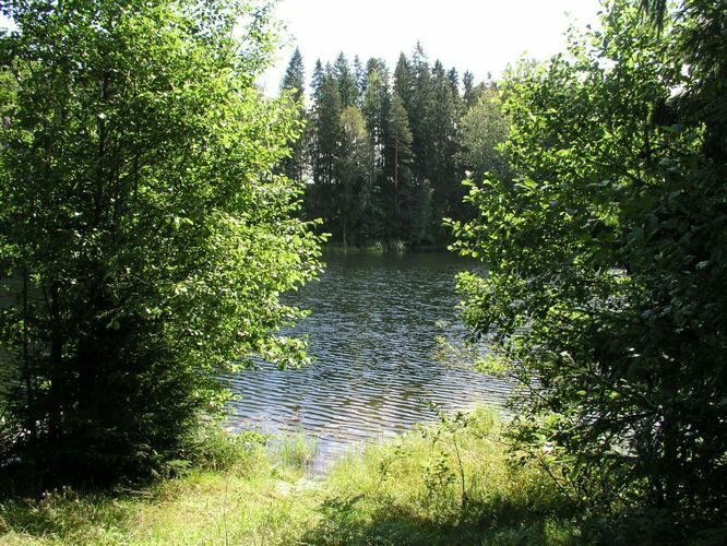 Maakond: Võrumaa Veekogu nimi: Väike Palkna järv Pildistamise aeg: 29. august 2003 Pildistaja: H. Timm Pildistamise koht: teadmata Asimuut: