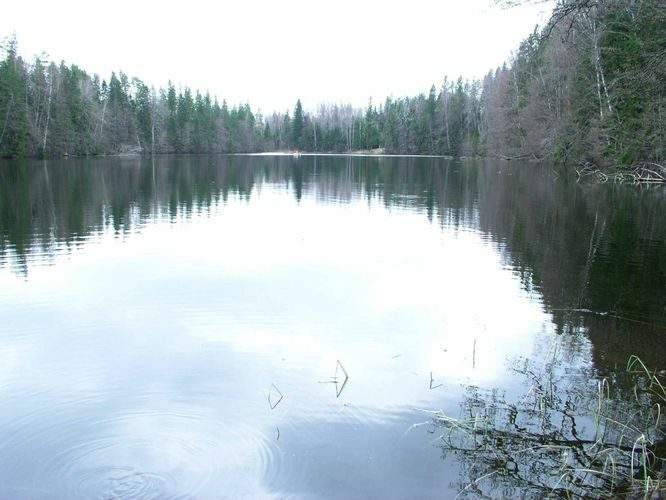 Maakond: Võrumaa Veekogu nimi: Väike Palkna järv Pildistamise aeg: 5. mai 2005 Pildistaja: H. Timm Pildistamise koht: teadmata Asimuut: