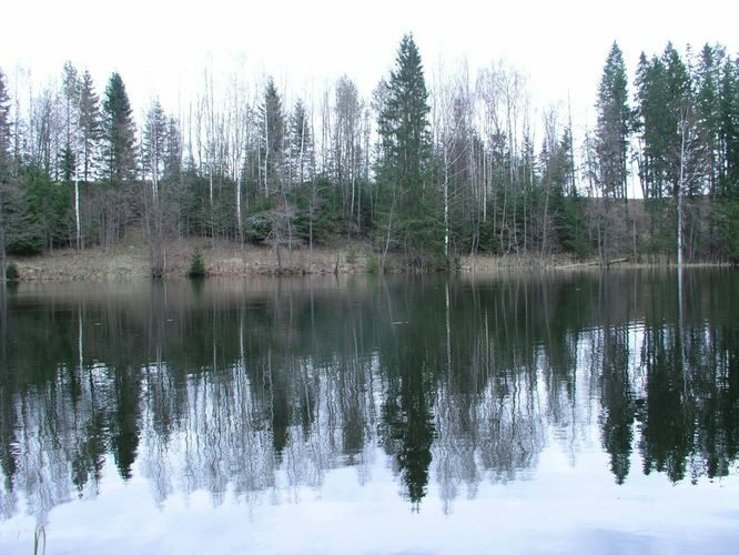 Maakond: Võrumaa Veekogu nimi: Väike Palkna järv Pildistamise aeg: 5. mai 2005 Pildistaja: H. Timm Pildistamise koht: teadmata Asimuut: