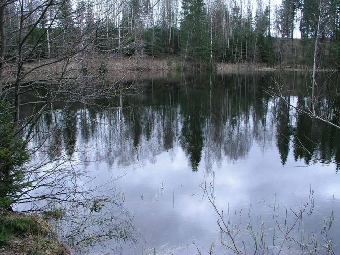 Maakond: Võrumaa Veekogu nimi: Väike Palkna järv Pildistamise aeg: 5. mai 2005 Pildistaja: H. Timm Pildistamise koht: teadmata Asimuut: