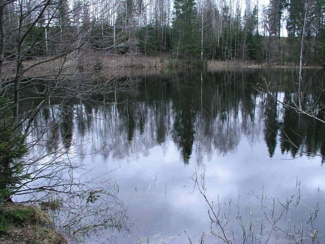 Maakond: Võrumaa Veekogu nimi: Väike Palkna järv Pildistamise aeg: 5. mai 2005 Pildistaja: H. Timm Pildistamise koht: teadmata Asimuut: