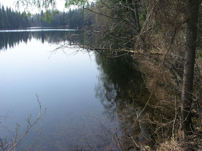 Maakond: Võrumaa Veekogu nimi: Väike Palkna järv Pildistamise aeg: 13. juuli 2006 Pildistaja: H. Timm Pildistamise koht: teadmata Asimuut: