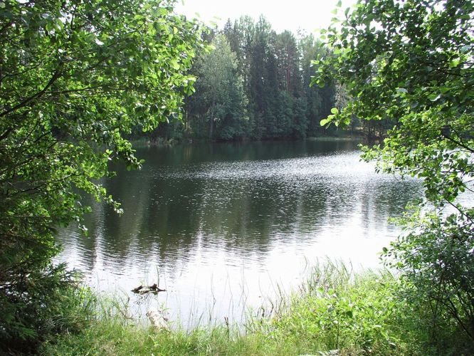 Maakond: Võrumaa Veekogu nimi: Väike Palkna järv Pildistamise aeg: 13. juuli 2006 Pildistaja: H. Timm Pildistamise koht: teadmata Asimuut: