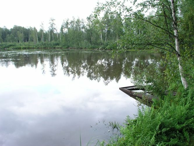 Maakond: Võrumaa Veekogu nimi: Väike Pehmejärv Pildistamise aeg: 2. august 2006 Pildistaja: H. Timm Pildistamise koht: teadmata Asimuut: