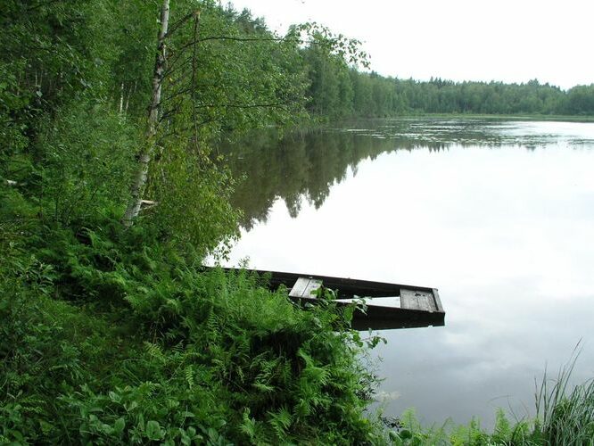 Maakond: Võrumaa Veekogu nimi: Väike Pehmejärv Pildistamise aeg: 2. august 2006 Pildistaja: H. Timm Pildistamise koht: teadmata Asimuut: