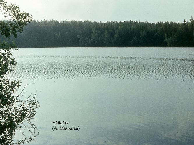 Maakond: Võrumaa Veekogu nimi: Väikjärv Pildistamise aeg: teadmata Pildistaja: A. Maspuran Pildistamise koht: teadmata Asimuut: