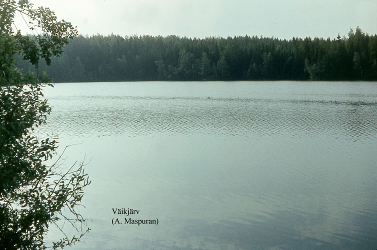 Maakond: Võrumaa Veekogu nimi: Väikjärv Pildistamise aeg: teadmata Pildistaja: A. Maspuran Pildistamise koht: teadmata Asimuut: