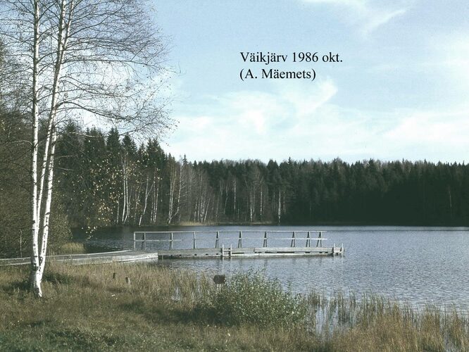 Maakond: Võrumaa Veekogu nimi: Väikjärv Pildistamise aeg: oktoober 1986 Pildistaja: A. Mäemets Pildistamise koht: teadmata Asimuut: