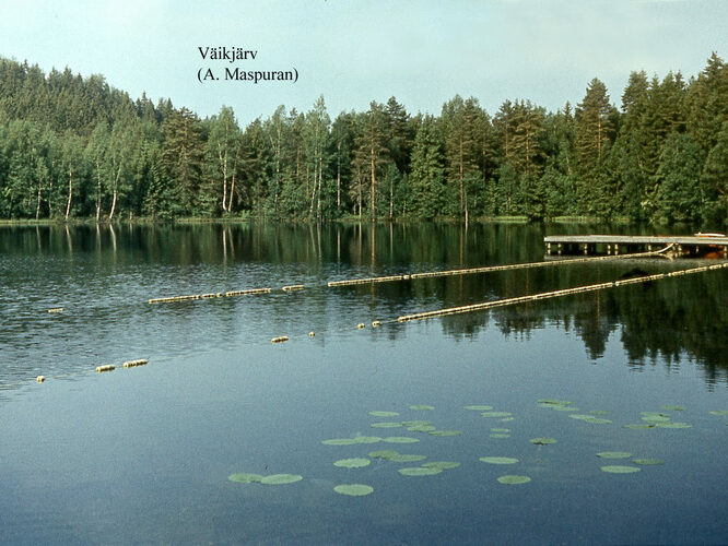 Maakond: Võrumaa Veekogu nimi: Väikjärv Pildistamise aeg: teadmata Pildistaja: A. Maspuran Pildistamise koht: teadmata Asimuut: