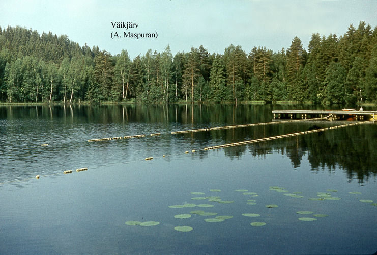 Maakond: Võrumaa Veekogu nimi: Väikjärv Pildistamise aeg: teadmata Pildistaja: A. Maspuran Pildistamise koht: teadmata Asimuut: