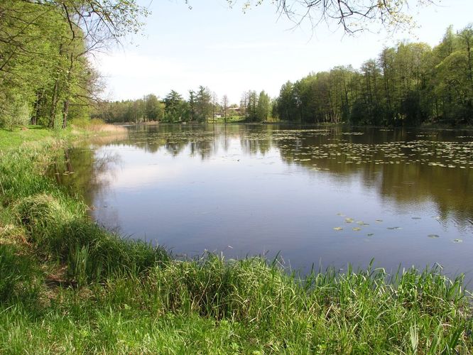 Maakond: Võrumaa Veekogu nimi: Väimela Alajärv Pildistamise aeg: 21. mai 2007 Pildistaja: H. Timm Pildistamise koht: teadmata Asimuut: