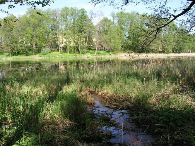 Maakond: Võrumaa Veekogu nimi: Väimela Alajärv Pildistamise aeg: 21. mai 2007 Pildistaja: H. Timm Pildistamise koht: teadmata Asimuut: