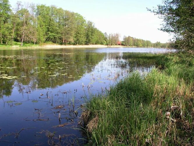 Maakond: Võrumaa Veekogu nimi: Väimela Alajärv Pildistamise aeg: 21. mai 2007 Pildistaja: H. Timm Pildistamise koht: teadmata Asimuut: