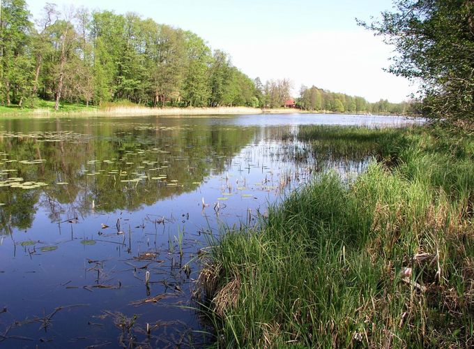 Maakond: Võrumaa Veekogu nimi: Väimela Alajärv Pildistamise aeg: 21. mai 2007 Pildistaja: H. Timm Pildistamise koht: teadmata Asimuut: