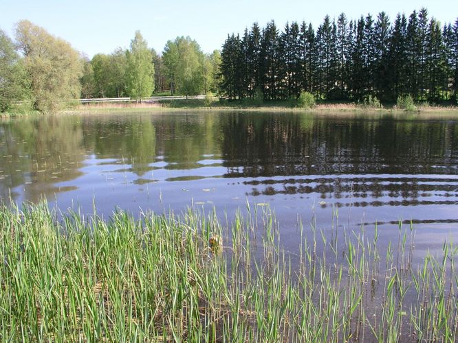 Maakond: Võrumaa Veekogu nimi: Väimela Mäejärv Pildistamise aeg: 21. mai 2007 Pildistaja: H. Timm Pildistamise koht: teadmata Asimuut: