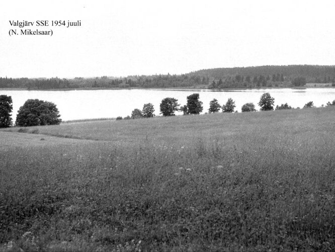 Maakond: Valgamaa Veekogu nimi: Valgjärv Pildistamise aeg: juuli 1954 Pildistaja: N. Mikelsaar Pildistamise koht: SSE kaldalt Asimuut: N