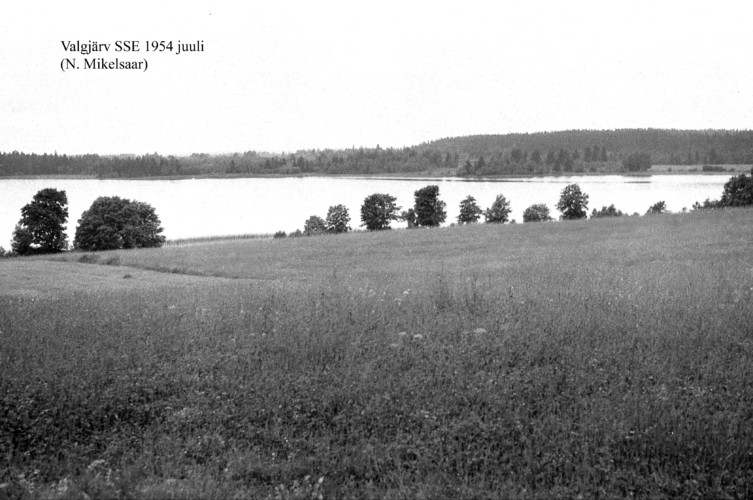 Maakond: Valgamaa Veekogu nimi: Valgjärv Pildistamise aeg: juuli 1954 Pildistaja: N. Mikelsaar Pildistamise koht: SSE kaldalt Asimuut: N