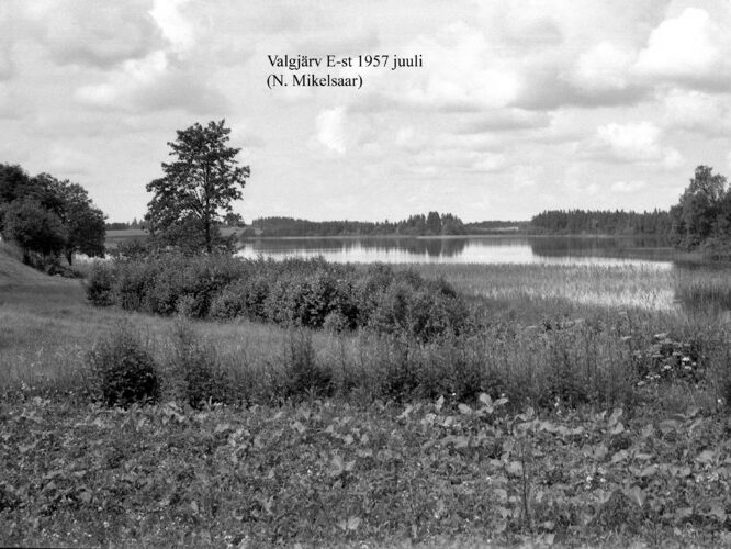 Maakond: Valgamaa Veekogu nimi: Valgjärv Pildistamise aeg: juuli 1957 Pildistaja: N. Mikelsaar Pildistamise koht: E kaldalt Asimuut: W