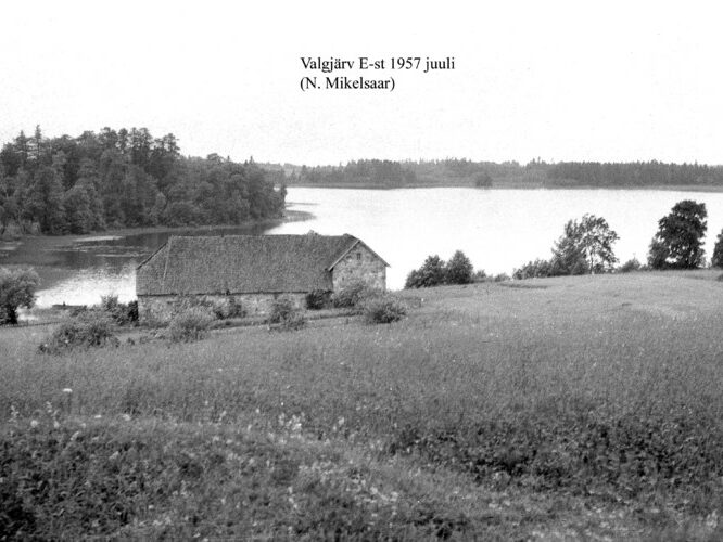 Maakond: Valgamaa Veekogu nimi: Valgjärv Pildistamise aeg: juuli 1957 Pildistaja: N. Mikelsaar Pildistamise koht: E kaldalt Asimuut: W