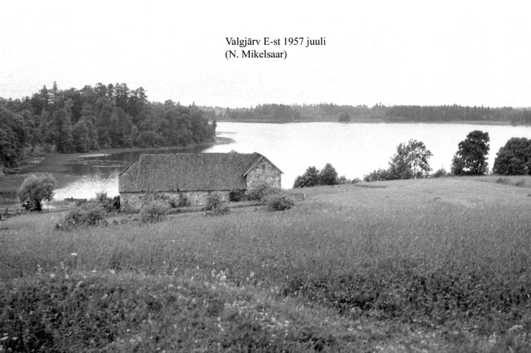 Maakond: Valgamaa Veekogu nimi: Valgjärv Pildistamise aeg: juuli 1957 Pildistaja: N. Mikelsaar Pildistamise koht: E kaldalt Asimuut: W