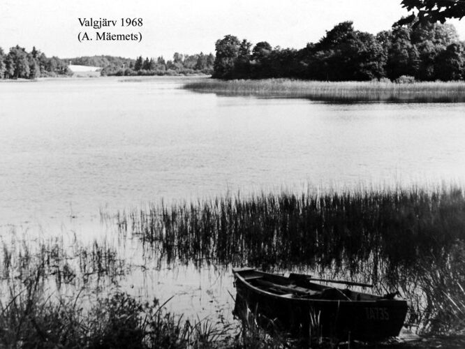 Maakond: Valgamaa Veekogu nimi: Valgjärv Pildistamise aeg: 1968 Pildistaja: A. Mäemets Pildistamise koht: teadmata Asimuut: