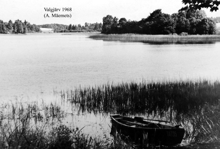 Maakond: Valgamaa Veekogu nimi: Valgjärv Pildistamise aeg: 1968 Pildistaja: A. Mäemets Pildistamise koht: teadmata Asimuut: