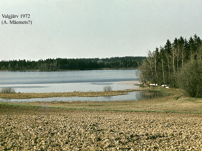 Maakond: Valgamaa Veekogu nimi: Valgjärv Pildistamise aeg: 1972 Pildistaja: A. Mäemets Pildistamise koht: teadmata Asimuut: