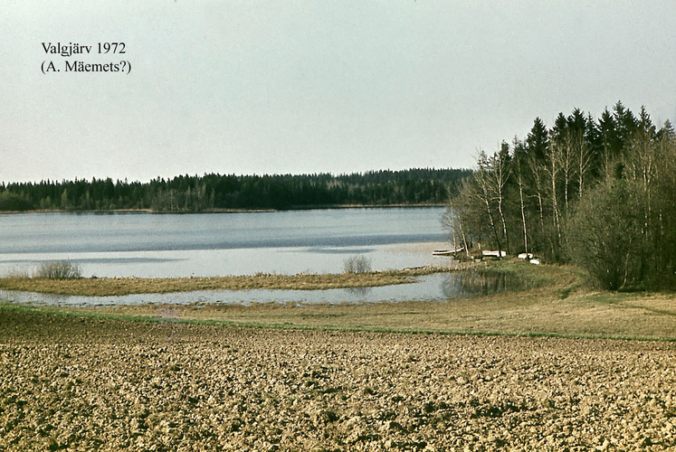 Maakond: Valgamaa Veekogu nimi: Valgjärv Pildistamise aeg: 1972 Pildistaja: A. Mäemets Pildistamise koht: teadmata Asimuut: