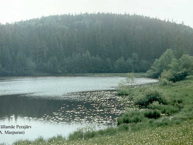 Maakond: Võrumaa Veekogu nimi: Vällamäe Perajärv Pildistamise aeg: teadmata Pildistaja: A. Maspuran Pildistamise koht: NW kaldalt Asimuut: SE