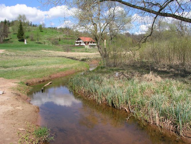 Maakond: Viljandimaa Veekogu nimi: Valuoja Pildistamise aeg: 12. mai 2005 Pildistaja: H. Timm Pildistamise koht: suue Asimuut: