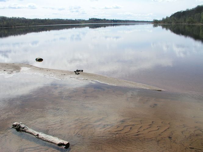 Maakond: Viljandimaa Veekogu nimi: Valuoja Pildistamise aeg: 12. mai 2005 Pildistaja: H. Timm Pildistamise koht: suue Asimuut: