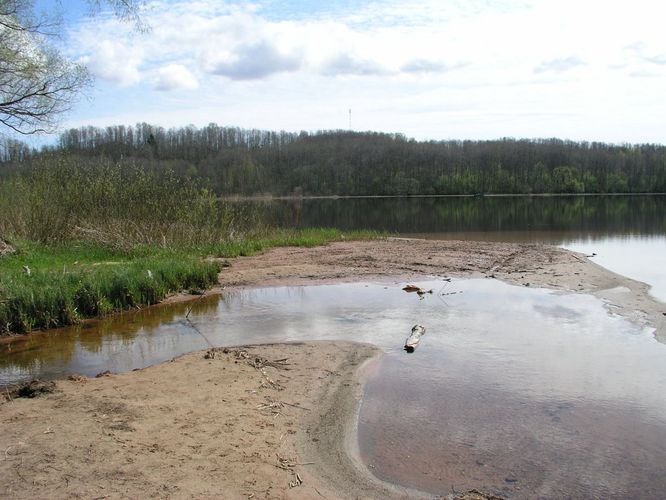 Maakond: Viljandimaa Veekogu nimi: Valuoja Pildistamise aeg: 12. mai 2005 Pildistaja: H. Timm Pildistamise koht: suue Asimuut: