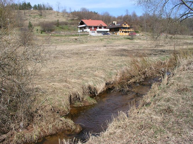 Maakond: Viljandimaa Veekogu nimi: Valuoja Pildistamise aeg: 25. aprill 2009 Pildistaja: H. Timm Pildistamise koht: teadmata Asimuut: