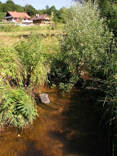 Maakond: Viljandimaa Veekogu nimi: Valuoja Pildistamise aeg: 25. aprill 2009 Pildistaja: H. Timm Pildistamise koht: suudmest Asimuut: