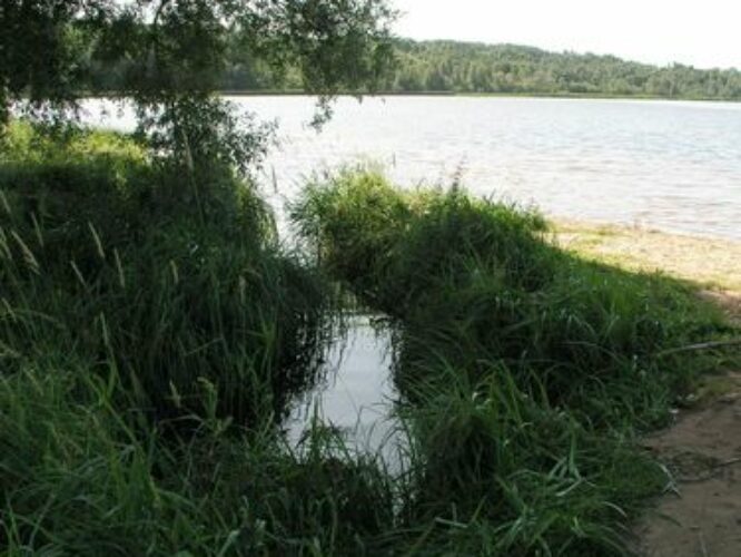 Maakond: Viljandimaa Veekogu nimi: Valuoja ja Viljandi järv Pildistamise aeg: 25. aprill 2009 Pildistaja: H. Timm Pildistamise koht: teadmata Asimuut: