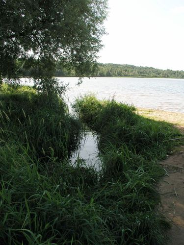 Maakond: Viljandimaa Veekogu nimi: Valuoja ja Viljandi järv Pildistamise aeg: 25. aprill 2009 Pildistaja: H. Timm Pildistamise koht: teadmata Asimuut: