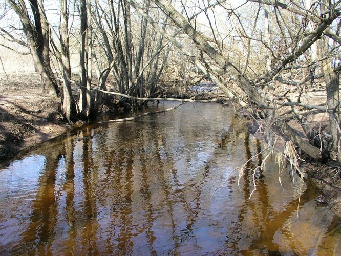 Maakond: Viljandimaa Veekogu nimi: Väluste oja Pildistamise aeg: 25. aprill 2009 Pildistaja: H. Timm Pildistamise koht: sild alamjooksul Asimuut: