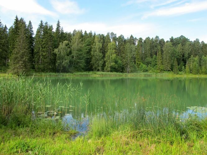 Maakond: Valgamaa Veekogu nimi: Vanamõisa järv Pildistamise aeg: 25. juuli 2012 Pildistaja: H. Timm Pildistamise koht: Tõrva Asimuut: