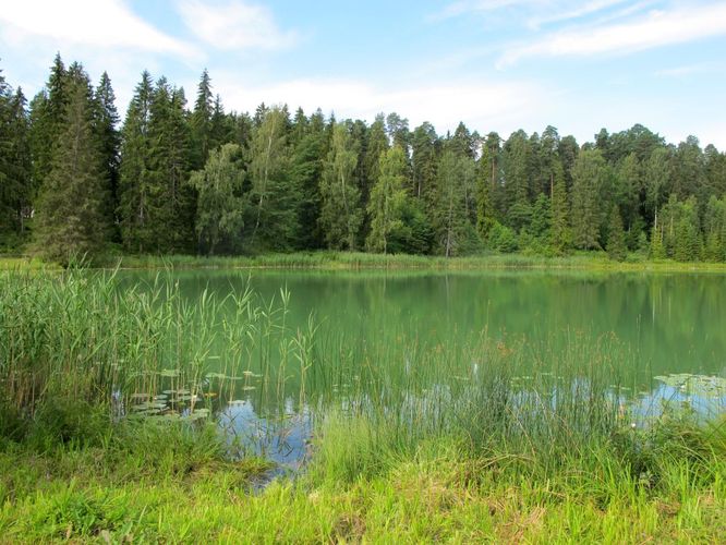 Maakond: Valgamaa Veekogu nimi: Vanamõisa järv Pildistamise aeg: 25. juuli 2012 Pildistaja: H. Timm Pildistamise koht: Tõrva Asimuut: