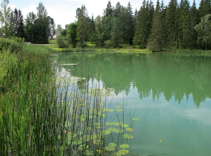 Maakond: Valgamaa Veekogu nimi: Vanamõisa järv Pildistamise aeg: 25. juuli 2012 Pildistaja: H. Timm Pildistamise koht: Tõrva Asimuut: