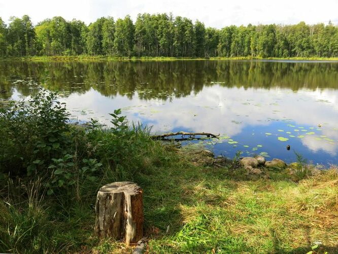 Maakond: Viljandimaa Veekogu nimi: Vanamõisa järv Pildistamise aeg: 31. august 2013 Pildistaja: H. Timm Pildistamise koht: teadmata Asimuut: