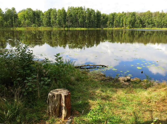 Maakond: Viljandimaa Veekogu nimi: Vanamõisa järv Pildistamise aeg: 31. august 2013 Pildistaja: H. Timm Pildistamise koht: teadmata Asimuut: