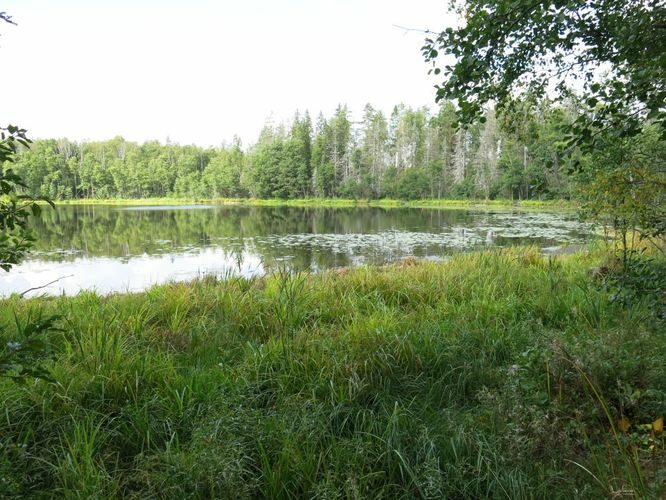 Maakond: Viljandimaa Veekogu nimi: Vanamõisa järv Pildistamise aeg: 31. august 2013 Pildistaja: H. Timm Pildistamise koht: teadmata Asimuut: